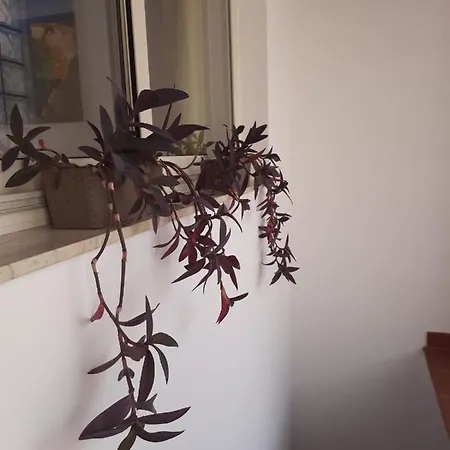 Casa de Férias Casa Chloris *